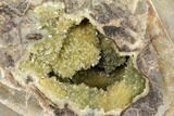 Yellow Crystal Filled Septarian Geode ( lbs) - Utah #127994-2